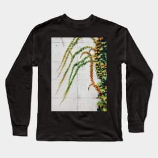 Green Ivy Growning on Grey Urban Concrete Wall Long Sleeve T-Shirt